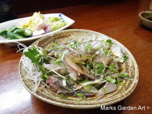 Wakayama_2011_04.JPG