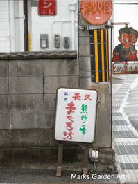 Wakayama_2011_06.JPG