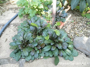 Garden-features_I_05.JPG