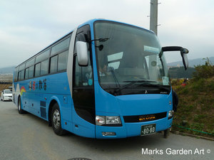 Hana-no-Chikara-Project_2011_01.JPG