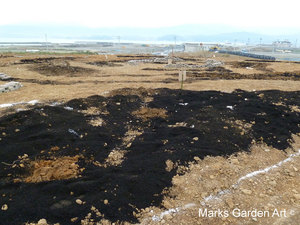 Hana-no-Chikara-Project_2011_03.JPG