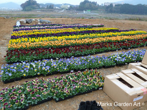 Hana-no-Chikara-Project_2011_04.JPG