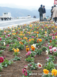 Hana-no-Chikara-Project_2011_07.JPG