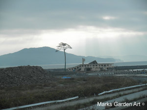 Hana-no-Chikara-Project_2011_10.JPG