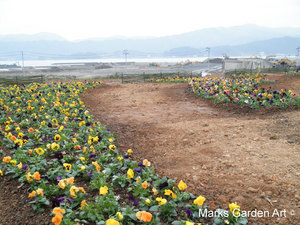 Hana-no-Chikara-Project_2011_19.JPG