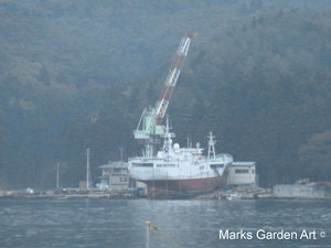 Hana-no-Chikara-Project_2011_22.JPG