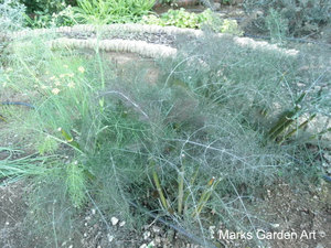 Marks-Garden_1117_03.JPG