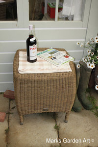 Pimm's_02.JPG