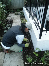 Setagaya_10.JPG