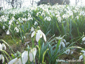 BeningtonLordshipGardens_01.jpg