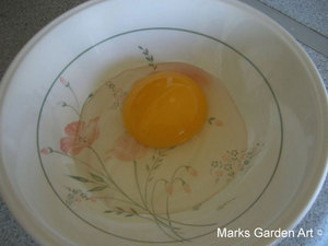 DugEgg_02.jpg