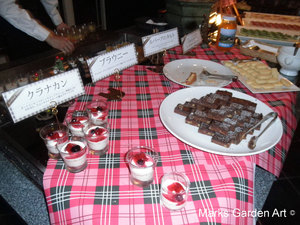Hakuba-Scotland_2011_12.JPG