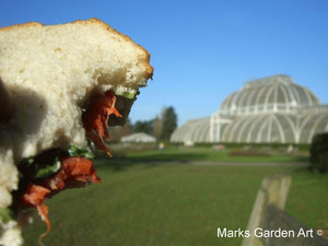 KewGardens_02.jpg