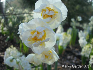 KewGardens_03.jpg