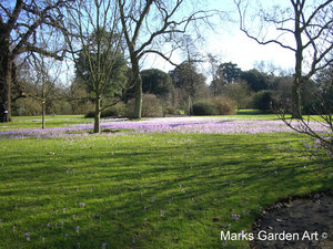 KewGardens_04.JPG