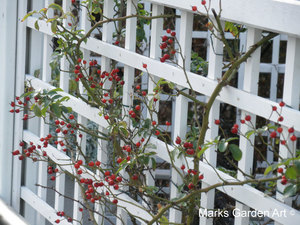 Shirokanedai-2011-11_10.JPG