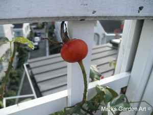 Shirokanedai-2011-11_11.JPG