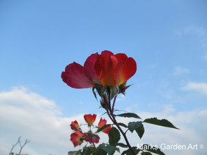 Shirokanedai-2011-11_15.JPG