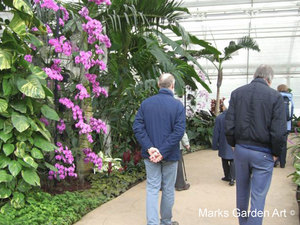 WiselyGarden_04.jpg