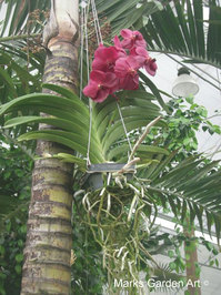 WiselyGarden_05.jpg