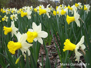 WiselyGarden_06.jpg