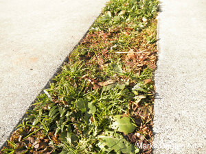 Exterior-work_10.JPG