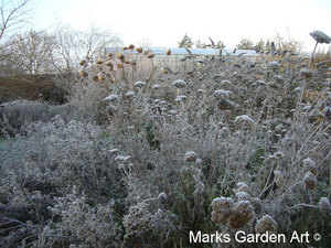 Frosty-Garden_02.JPG