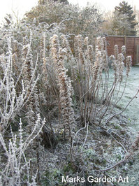 Frosty-Garden_03.JPG