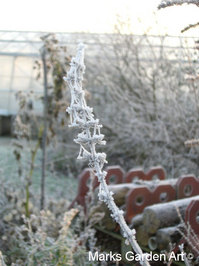Frosty-Garden_04.JPG
