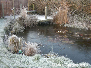 Frosty-Garden_05.JPG