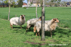 IBC_garden_no.10_05.JPG