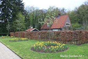 IBC_garden_no.11_02.JPG