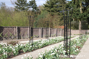 IBC_garden_no.11_03.JPG