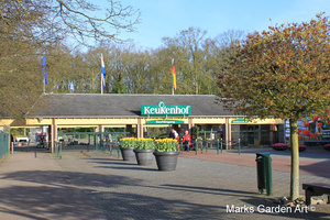 IBC_garden_no.12_01.JPG