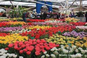 IBC_garden_no.12_04.JPG