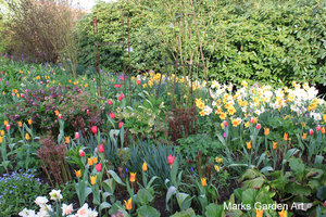 IBC_garden_no.7_02.JPG