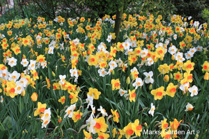 IBC_garden_no.7_04.JPG