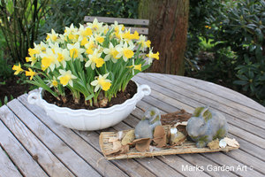 IBC_garden_no.7_05.JPG