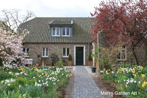 IBC_garden_no.8_01.JPG