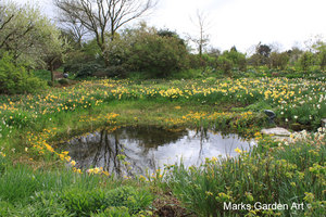 IBC_garden_no.8_02.JPG
