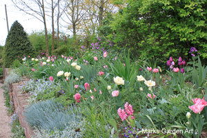 IBC_garden_no.8_03.JPG