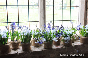 IBC_garden_no.9_03.JPG