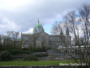 Ireland_40.JPG