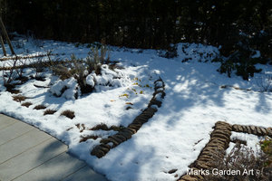 Marks-Garden_20110125_02.JPG