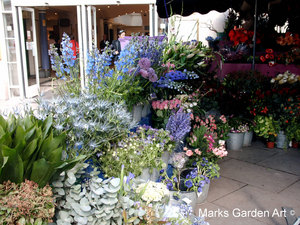 Bath-Spring_04.JPG