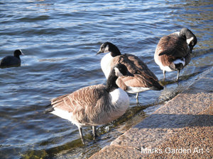 Hyde-Park2011_01.JPG