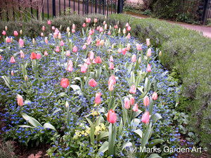 Oxford-Spring_01.JPG
