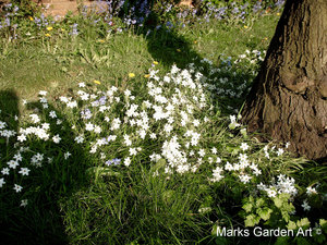 Oxford-Spring_03.JPG