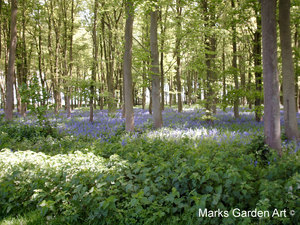 Oxford-Spring_09.JPG