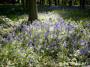 Oxford-Spring_10.JPG